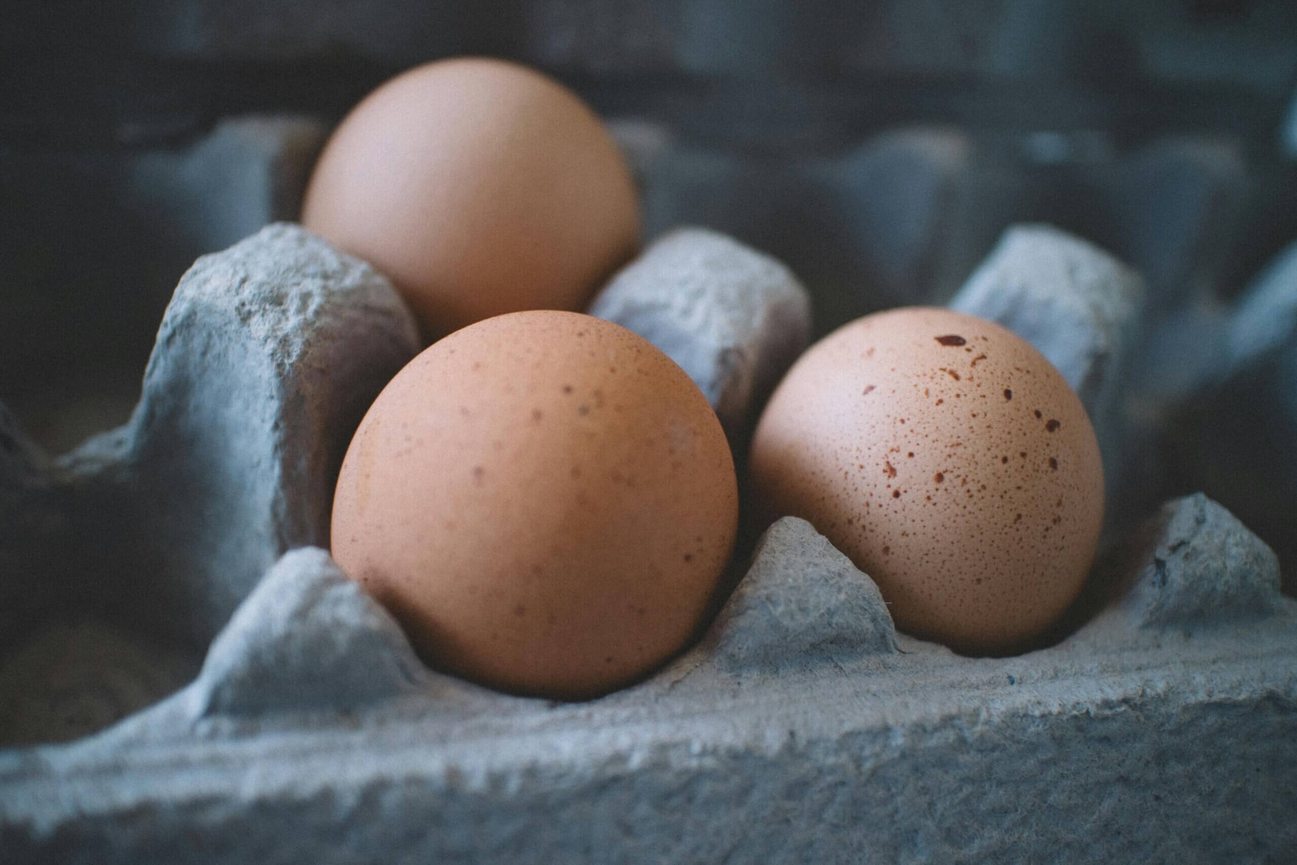 egg health benefits